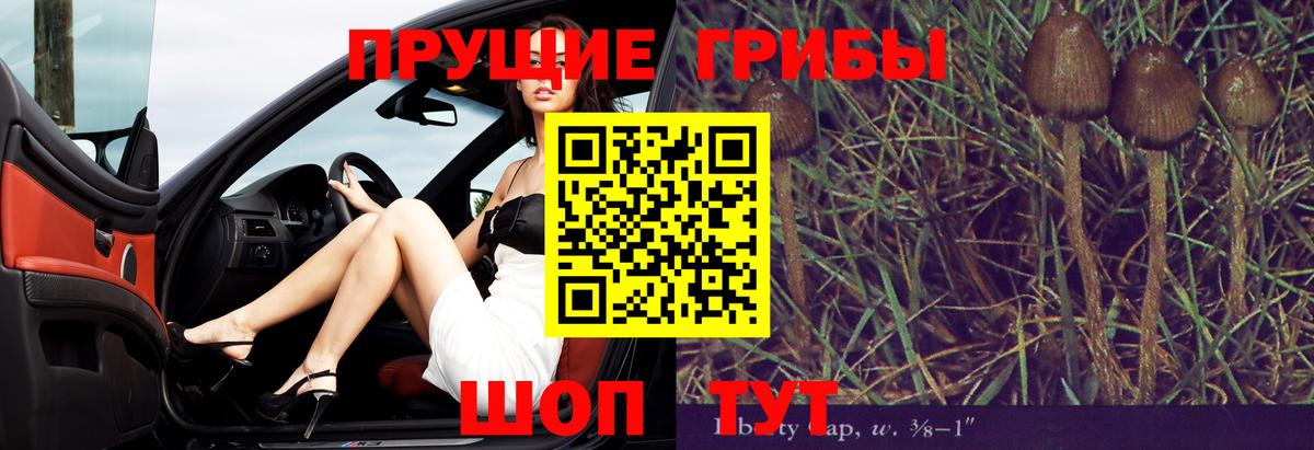 Галлюциногенные грибы Psilocybine cubensis  Вход с VPN  Березники 